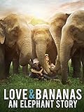 Love & Bananas - An Elephant Story