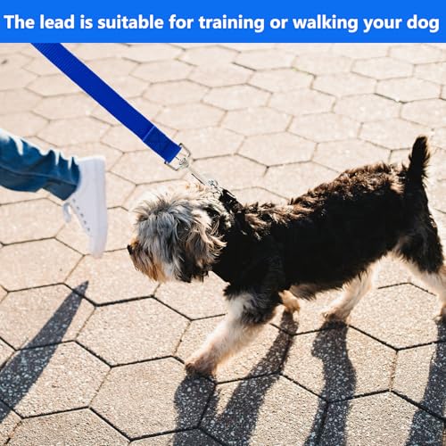 Schleppleine 10m für Hunde, Wasserdicht Hundeleine mit Handschlaufe und 360° Karabiner, Robuste Ausbildungsleine Schleppleine für Mittlere Große Kleine Hunde (Blau)