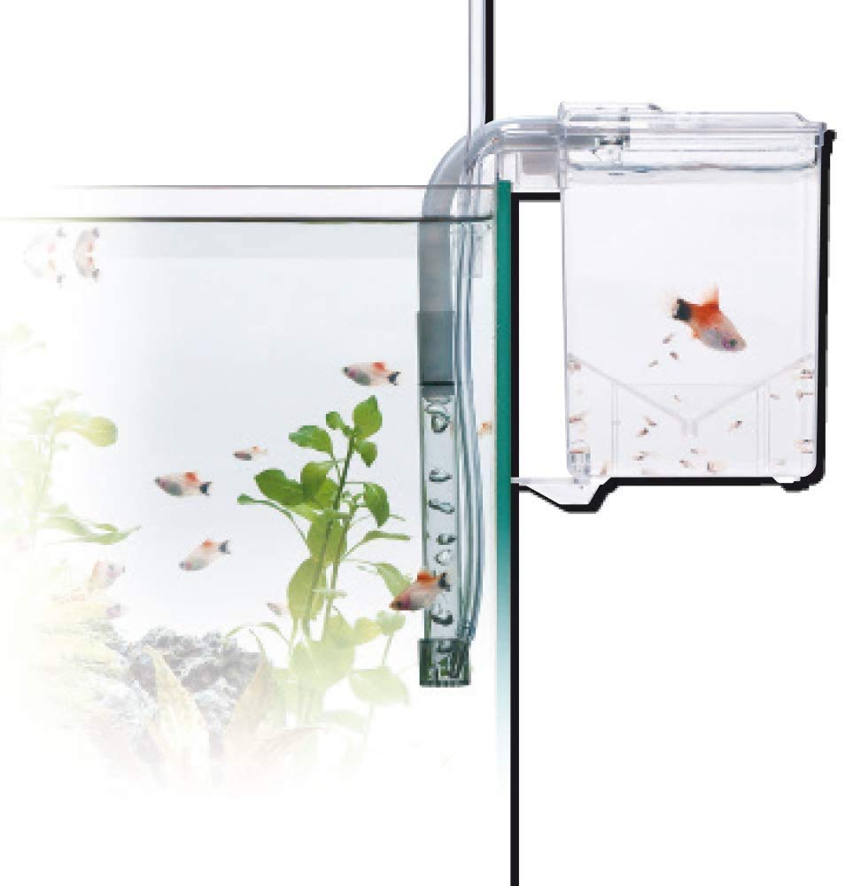Sala Parto Per Acquario Amtra Esterba Hang On - 1,5 L, 16x13x16 Cm, Per Avannotti E Uova - Foto 4