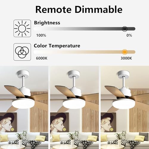 Ventilateur de plafond avec télécommande éclairage LED variable 65W