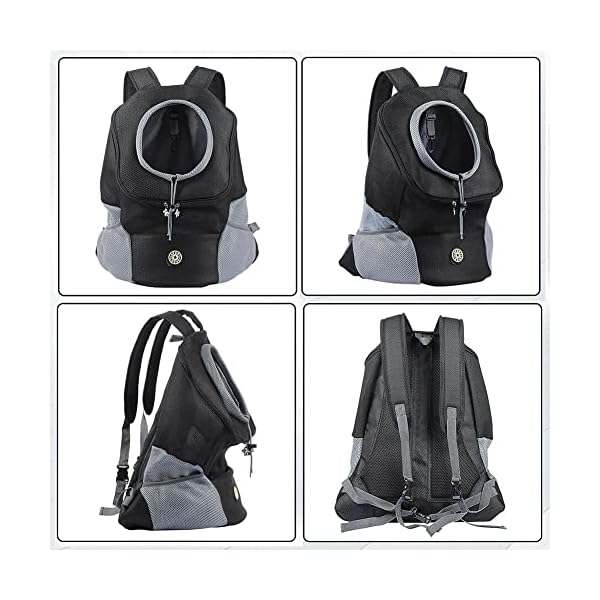 Adventure Paws - Premium Pet Carrier Backpack for Hiking & Travel