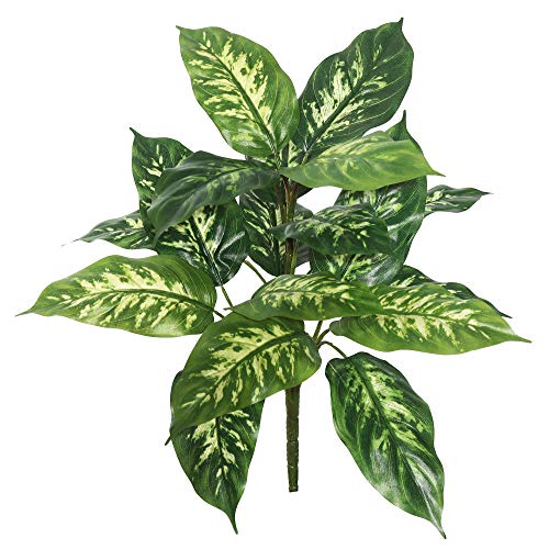Vickerman 22" Artificial Green Dieffenbachia Plant 2 Pack - Faux Indoor Plant Spray - Greenery for Home Or Office Decor - Maintenance Free