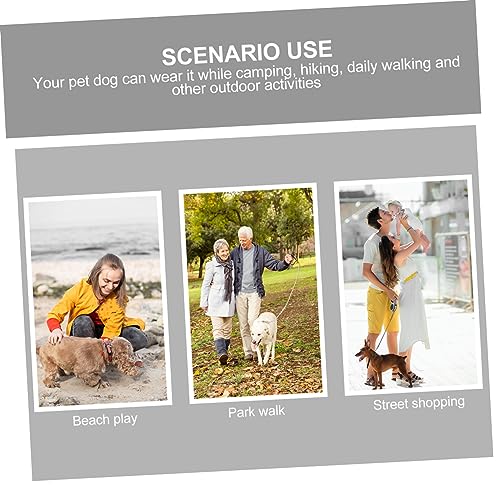 Buying Guide FRCOLOR 2pcs Dog Activity Toys Dog Hunting Toys Stuffed