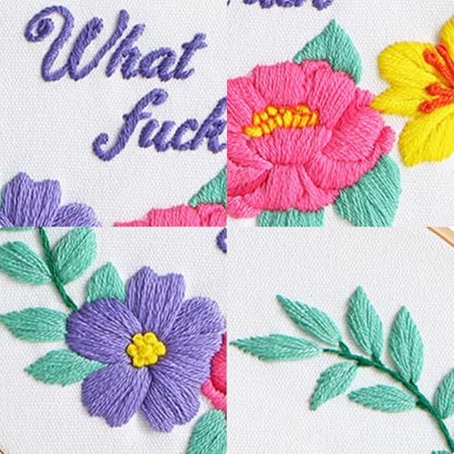 Image of Louise Maelys Funny Embroidery Kits for Beginners,Cross Stitch Kit for Adults Starters,DIY Needlepoint with Floral Flower Wreath Pattern