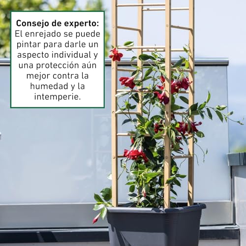 Juego de trepa de madera Windhager de pino para soporte de plantas en jardín 7