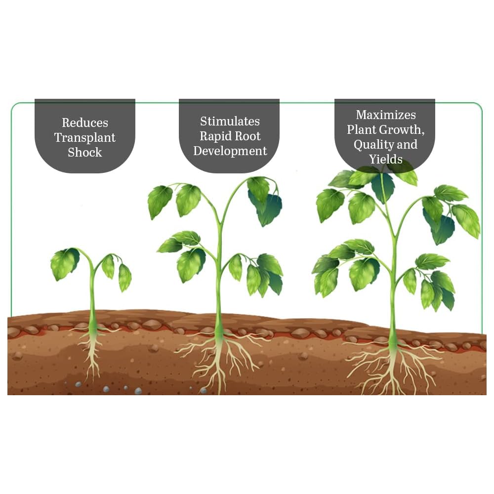 Premium Natural Mycorrhizal Fungi Root Boost Organic Plant Growth