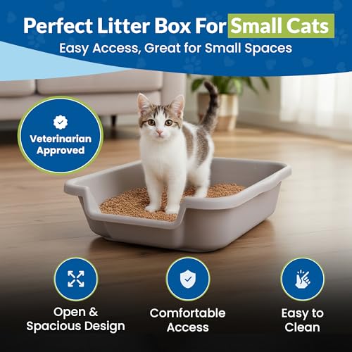 KittyGoHere Senior Cat Litter Box, Small Litter pan, Open Top Low Entrance Kitty Litter Box, Lightweight Low Entry Litters Box, Durable, Made in USA (2 Pack - Misty Gray)