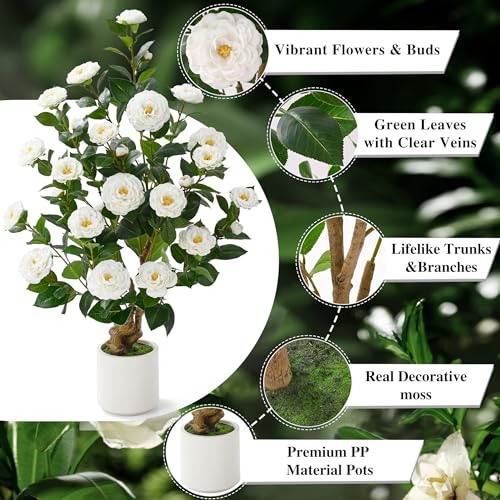 Set of 2, Artificial Camellia Tree, 38" - image 3