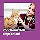 FELIWAY Classic 3x30 Tage Vorteilspack für Pheromon Verdampfer, 3x48ml - Hilft Anzeichen von Stress bei Katzen und Kitten zu reduzieren, von Tierärzten empfohlen, klinisch getestet