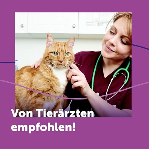FELIWAY Classic 30 Tage Pheromon Verdampfer Start-Set, 48ml - Hilft Anzeichen von Stress bei Katzen und Kitten zu reduzieren, von Tierärzten empfohlen, klinisch getestet