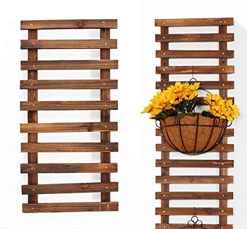 Soporte de planta de pared, maceta colgante de 23.6211.81 pulgadas para plantas de interior, estante de maceta sólido anticorrosión, percha de madera, soporte de planta, percha de suculenta de planta