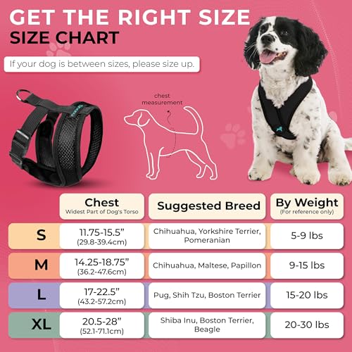 Gooby Comfort X Hundegeschirr zum Ziehen über den Kopf, komfortabel, kein Ziehen, für kleine bis mittelgroße Hunde, Würgeschutz, X-Design, für unterwegs, für Innen- und Außenbereich, Größe M, Schwarz