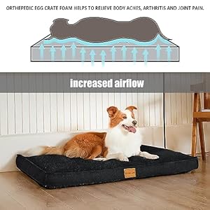 Patas-Lague-Orthopedic-XL-Dog-Bed-for-Large-Dogs-42X28-Waterproof-Big-Large-Dog-Beds-with-Removable-Washable-Cover-Egg-Crate-Foam-Pet-Bed-Mat-with-Nonskid-Bottom-Black - Cucciolini Doodles   Patas-Lague-Orthopedic-XL-Dog-Bed-for-Large-Dogs-42X28-Waterproof-Big-Large-Dog-Beds-with-Removable-Washable-Cover-Egg-Crate-Foam-Pet-Bed-Mat-with-Nonskid-Bottom-Black