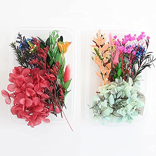 Flores prensadas naturais Material de flores secas misturadas para velas de aromaterapia DIY Cartão