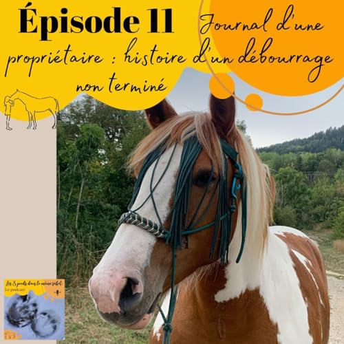 『11 - Journal d'une propriétaire #1 - Histoire d'un débourrage non terminé ...』のカバーアート
