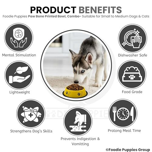 Image of Foodie Puppies Stainless Steel Dog Bowl Combo - (Medium, 700ml) Food and Water Feeding Gift Bowl | Suitable for Dogs, Cats and Other Pets I Paw Bone Print, Anti-Skid Rubber Base (Black + Yellow)