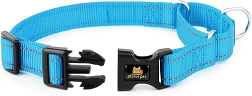Miniatura 8 de Plutus Pet Collar Martingala reflectante con hebilla, collar de entrenamiento duradero y ajustable para perros pequeños, medianos y grandes, azul
