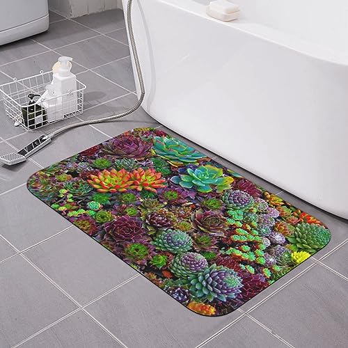 Tapis de bain en terre de diatomée anti humidité VACSAX - 2