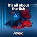 Aqueon PURE Betta Beads, Water Care for Unfiltered Aquariums, Maintains Clear Water and Helps Breakdown Organic Sludge, Blue