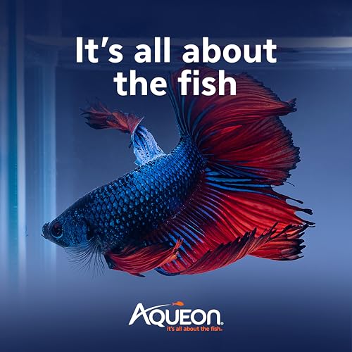 Image of Aqueon PURE Betta Beads, Water Care for Unfiltered Aquariums, Maintains Clear Water and Helps Breakdown Organic Sludge, Pink