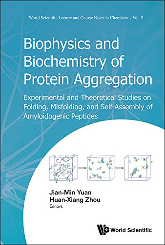 Biophysics And Biochemistry Of Protein Aggregation: Experimental And Theoretical Studies On Folding, Misfolding, And Self-assembly Of Amyloidogenic Peptides ... Notes In Chemistry Book 9) (English Edition)