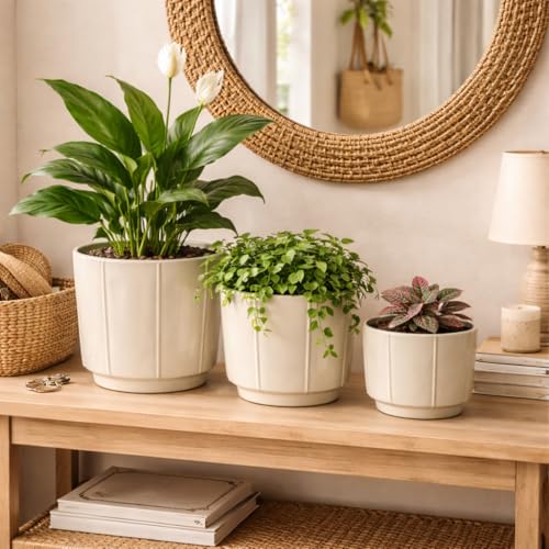 Image of Xtore Linea Ceramic Planter Set | Minimal Straight-Line Plant Pots for Home & Office Decor - (Set of 3, Cream, Planter ONLY)