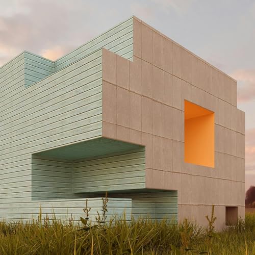 The Architecture of Autistic Order. The Contradictions of Capitalism and the Appeal of Socialism.
