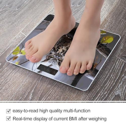 Báscula digital de baño con plataforma anti-deslizante miniatura 5