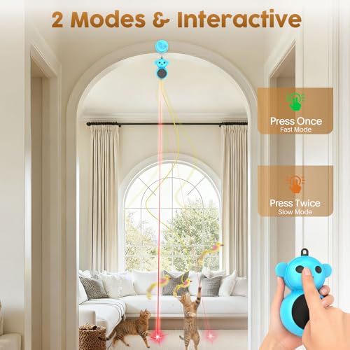 View 5
