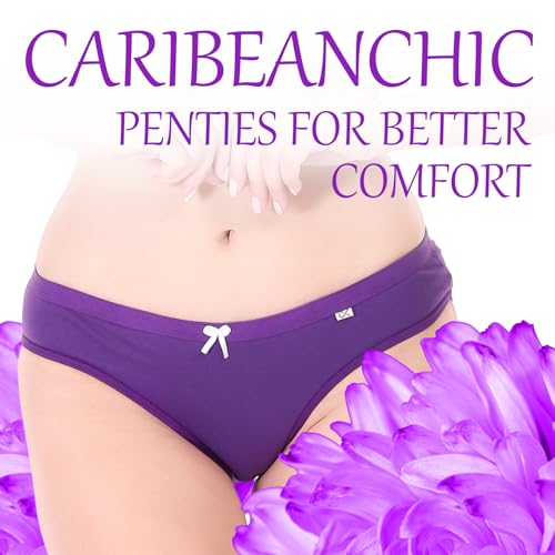 Image of XJARVIS CARIBEANCHIC Women's Hipster Panty Made with Cotton Soft Stretchable Underwear for Women, Full Coverage Bikini Briefs, Breathable & Comfortable Ladies Innerwear - Multicolor