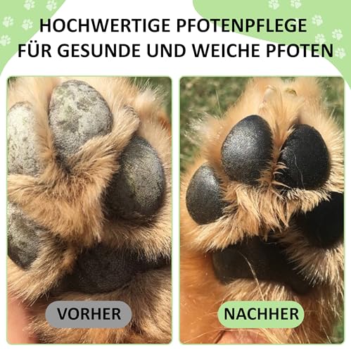 NEU! Pfotenbalsam, Nasenbalsam Hund & Katze als Stick, Ganzjähriger Pfotenschutz 100% natürlich - Pfotensalbe, Pfotenpflegen, Propolis & Avocadoöl, Golden Pets