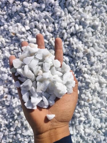 Image of BKD White Pebble Decorative Stones Marble Chips [20 Kg] for Aquarium Garden Indoor & Outdoor Decoration Pebble Stone White