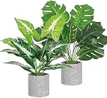 Dremisland 2Pack Artificial Potted Plant 16" Tall Faux Monstera Potted Plants with Gray Pot Fake Greenery Plants Decor for Home Office Table Desk Living Room Shelves Bathroom (Taro and Monstera)
