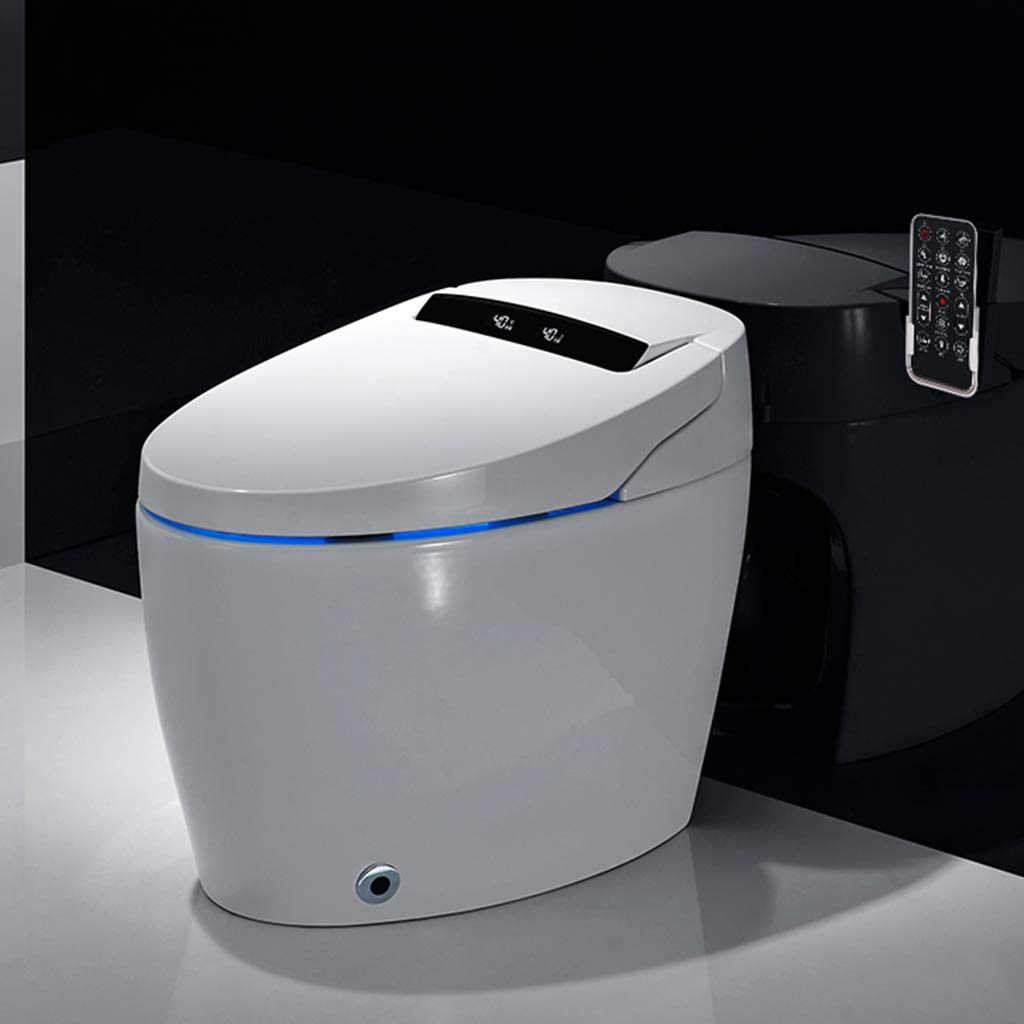 Buy Riforla Smart Bidet seat Toilet with Integrated Dual Flush with