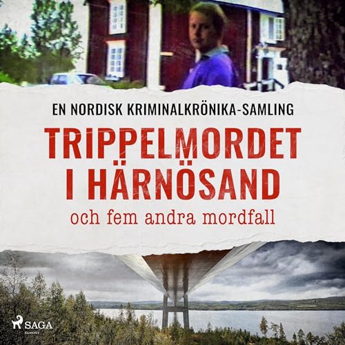 div.'s Trippelmordet i H&amp;auml;rn&amp;ouml;sand, och fem andra mordfall episode artwork