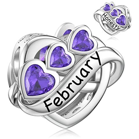 LANBEIDE February Birthstone Charms, 925 Sterling Silver Infinity Love Heart Beads Charms for Pandora Bracelet Necklace Birthday Gifts for Women Girls Cover