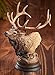 Wild Wings Primal Call - Elk Sculpture by Stephen Herrero