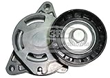 ⚙️ OEM :8200714513; 3RG Industrial  Rodillo Tensor 60 X 30  Piezas para Coche Recambios Motor y Otras Partes de Vehículo  Compatible con los Modelos de Coche y Moto indicados más Abajo.