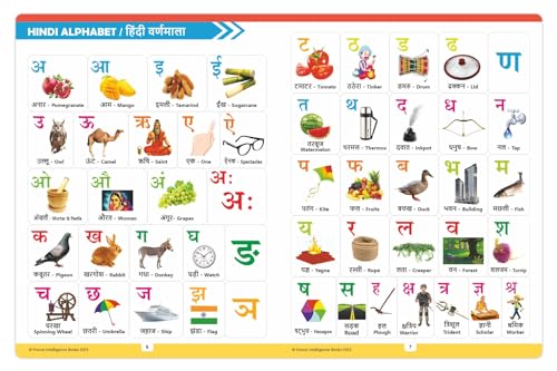 Image of My First Picture Book All in One (Hindi-English) Board Book for Kids | Learn Alphabets, Fruits, Animals, Birds, Colours & More with Dual Language Words & Pictures | Early Learning Book