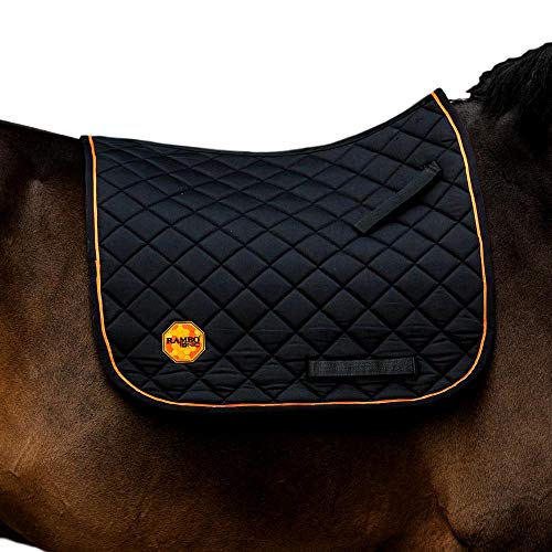 Horseware Ionic Die 16 besten Produkte im Vergleich