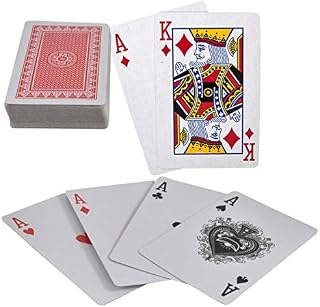 D.A.Y. Republic Professional Style Standard Plastic Coated Poker Size Playing Cards 52 Card Standard Deck + 2 Jokers, Ideal for Poker Nights, Parties and Family Game