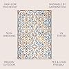 Amazon.com: JONATHAN Y Scroll Trellis Indoor Outdoor Area Rug 4X6 Cream ...