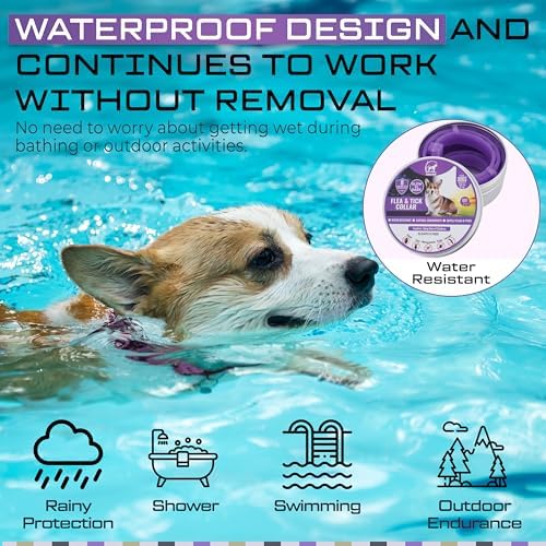 Dog Repellent Treatment, Single Pack Repellent Collar, Adjustable for Small Medium Large Dogs, Natural Waterproof Design (Single Pack Purple)