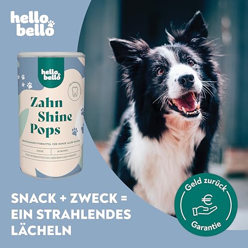 HELLOBELLO kaltgepresste Zahn Shine Pops für Hunde 200g für strahlende Zähne & gegen Mundgeruch - Mit Hirse, Kokosöl & Kokosmehl - Zahnsteinentferner Hund, Hunde Zahnpflege, Hund Zähne Snack