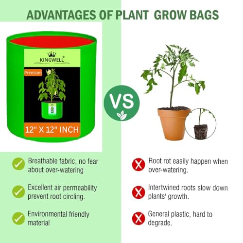 Image of Kingwell Plant Grow Bags 12x12 inch pack of 10, Bags for Plants Gardening Home, Grow Bags for Terrace Gardening