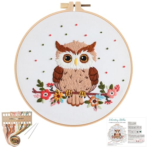 Image of Louise Maelys Owl Embroidery Kits for Beginners with Floral Pattern,Adults Starter Cross Stitch Kit DIY Needlepoint