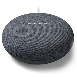 Google Nest Mini Carbone
