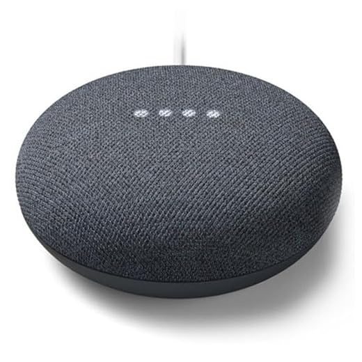 Google Nest Mini Charbon