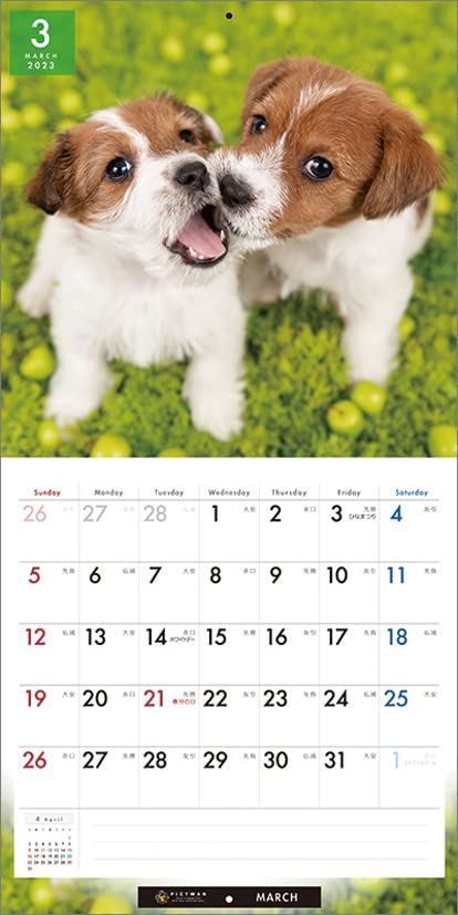 Amazon.co.jp: Interzoo Clinic Club Jack Russell Terrier 2023