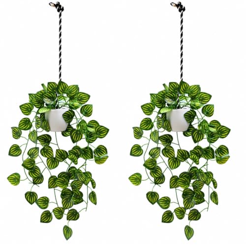 Image of fancymart Artificial Hanging Ivy Plant with White Hanging Pot & Rope, Pack of 2, Realistic Green Leaf Creeper for Home, Office, Living Room & Wall Decor, 60 cm Height